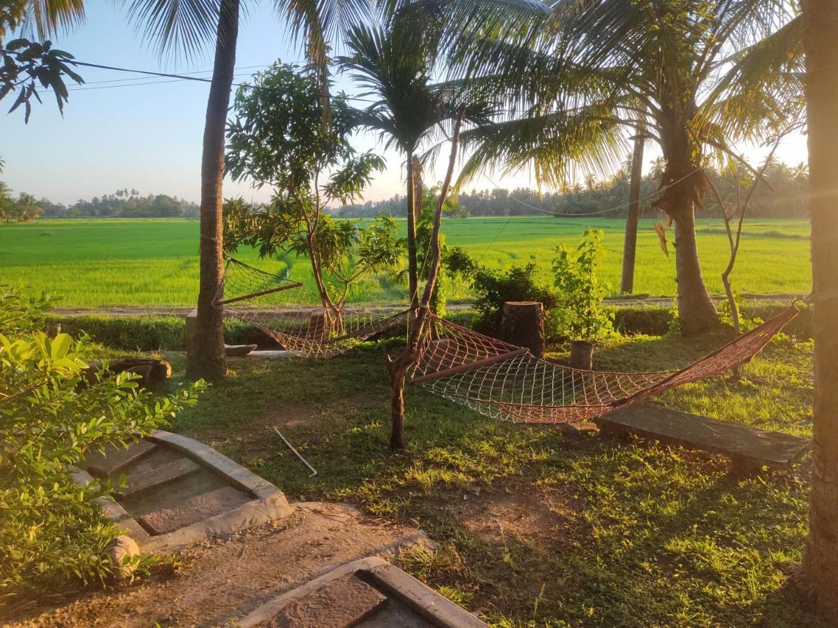 Village Mango Resort Yala Tissamaharama Exteriör bild