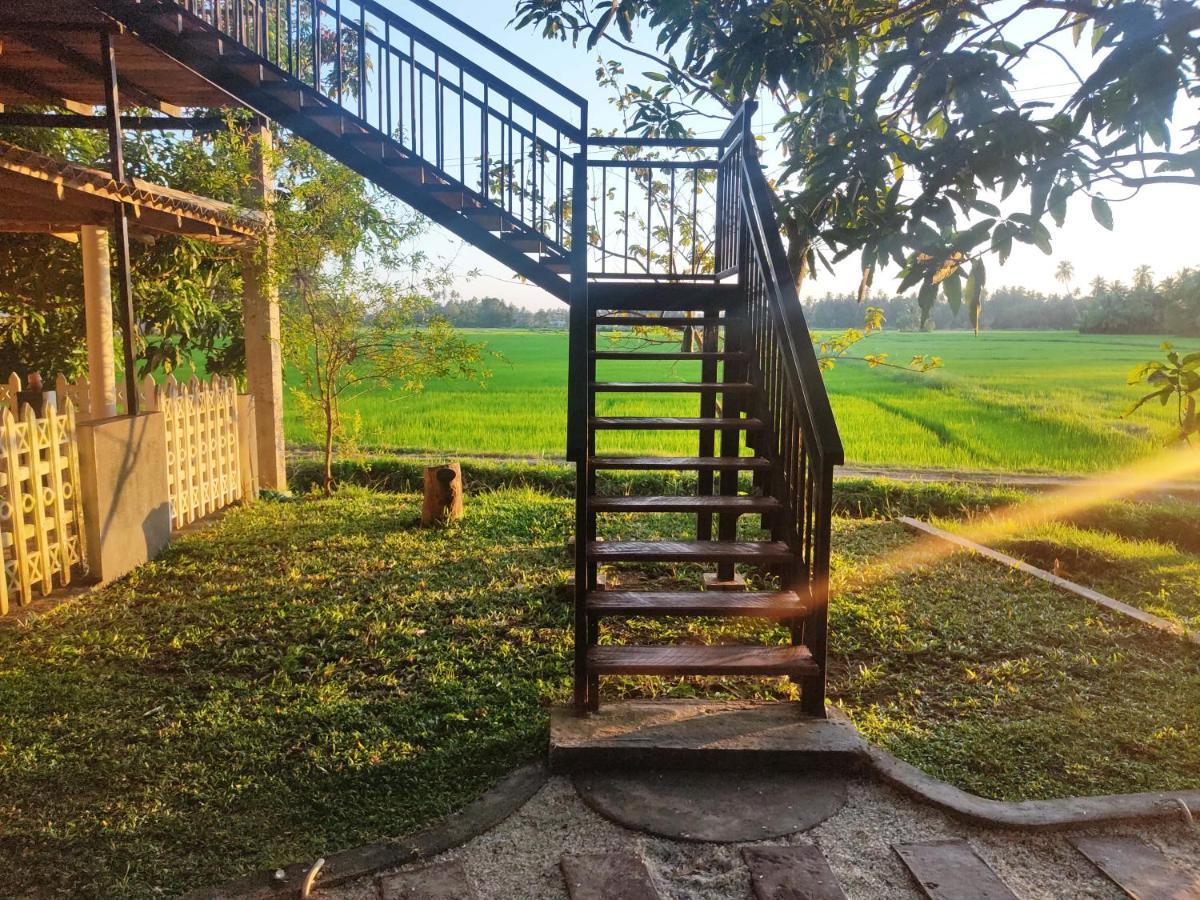 Village Mango Resort Yala Tissamaharama Exteriör bild