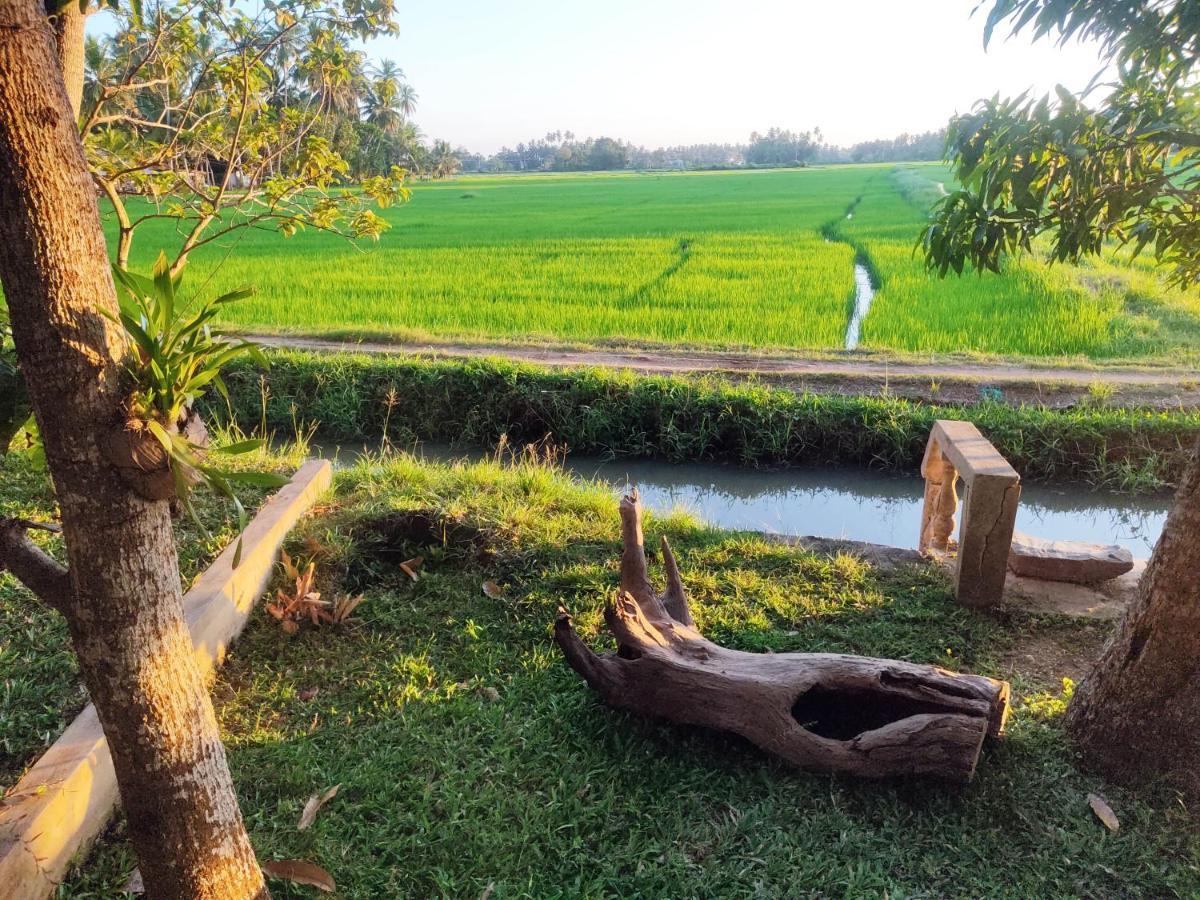 Village Mango Resort Yala Tissamaharama Exteriör bild