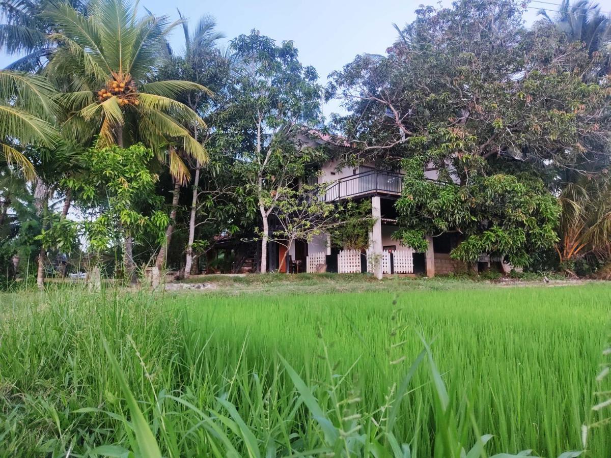Village Mango Resort Yala Tissamaharama Exteriör bild
