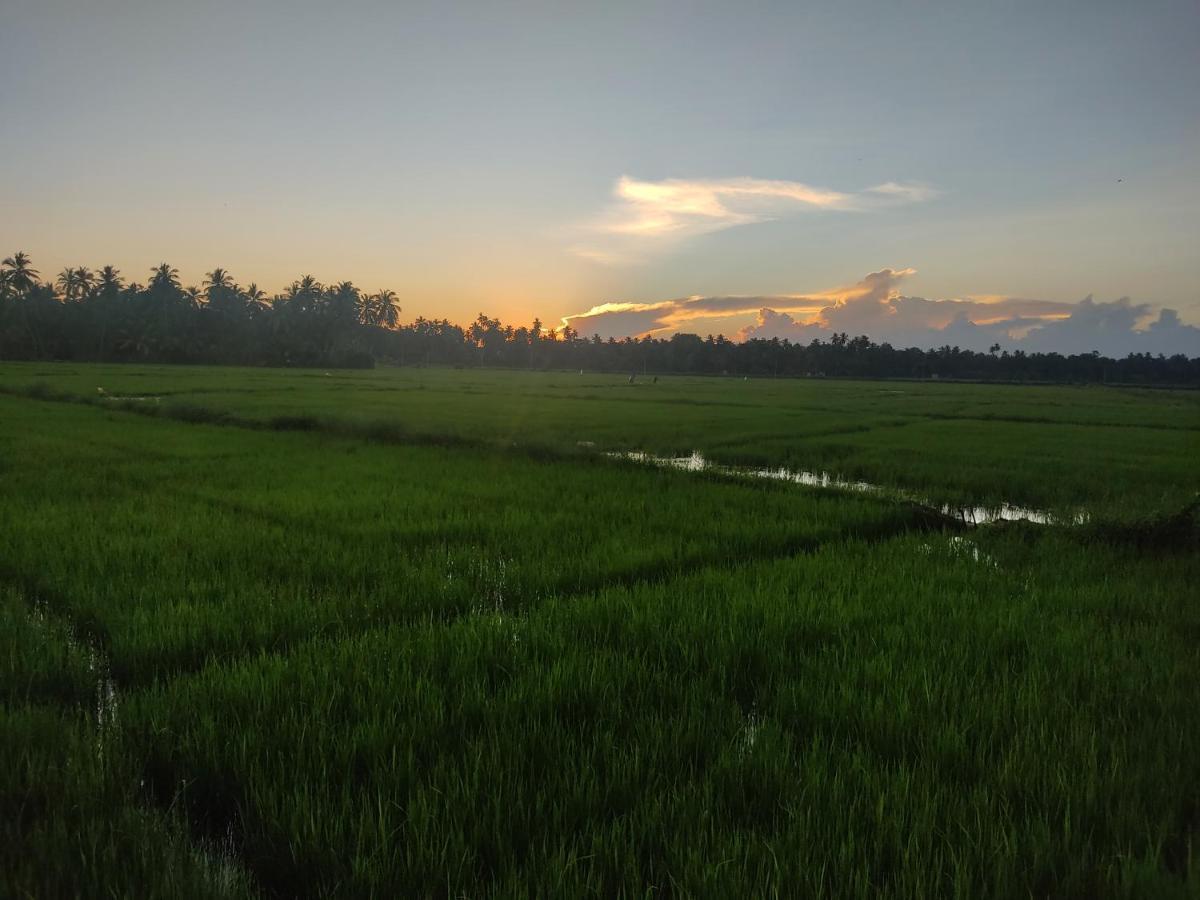 Village Mango Resort Yala Tissamaharama Exteriör bild