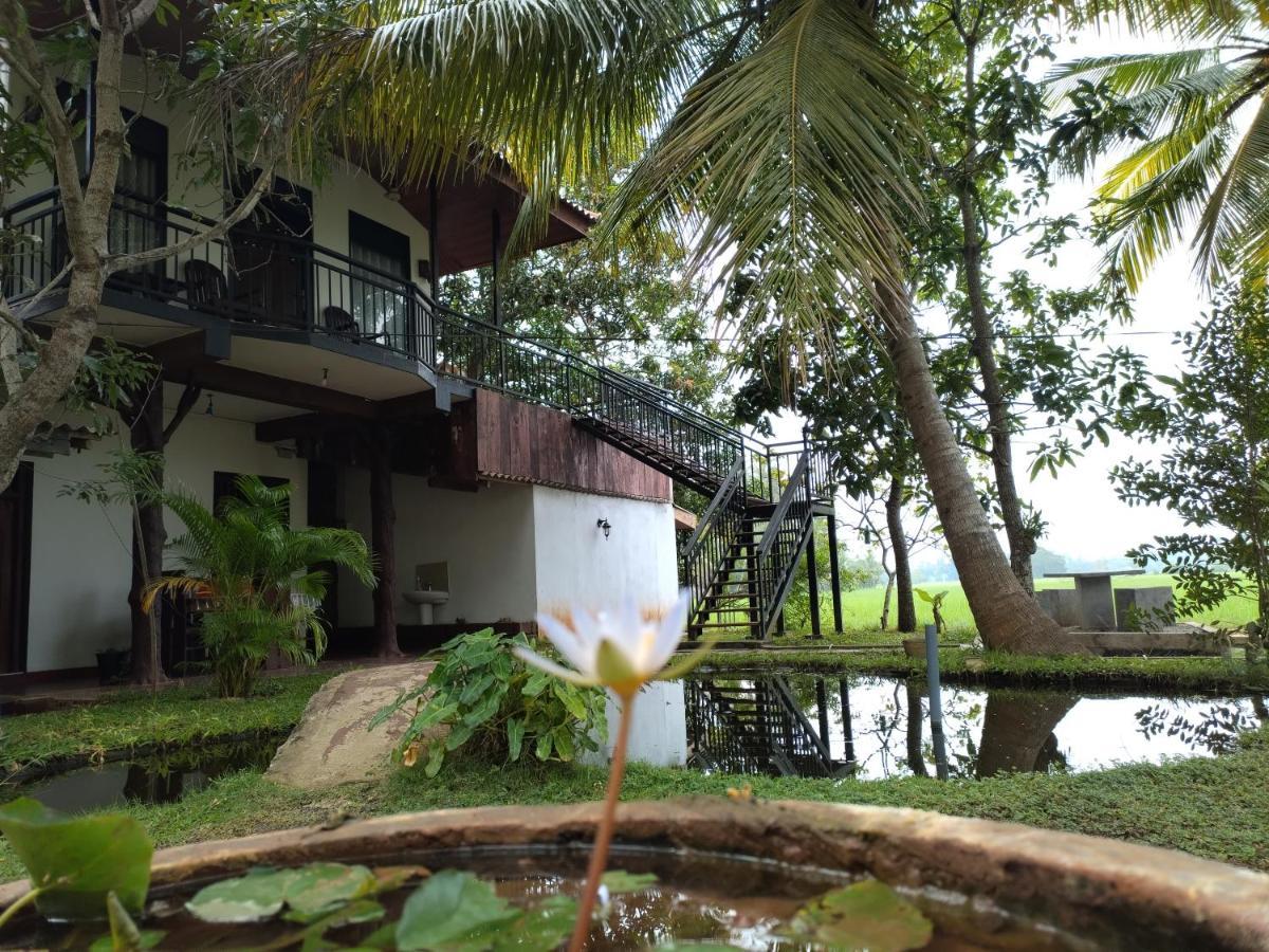 Village Mango Resort Yala Tissamaharama Exteriör bild