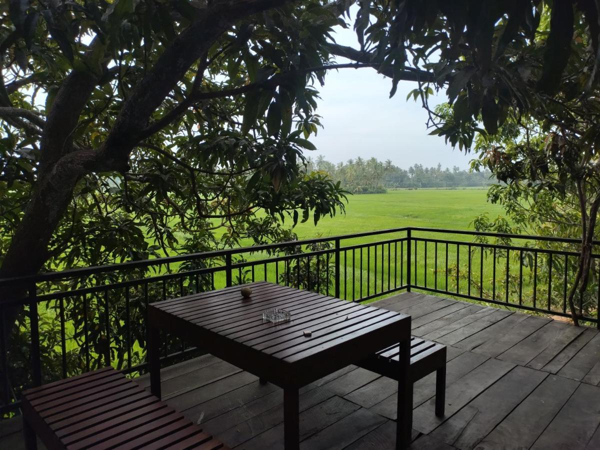 Village Mango Resort Yala Tissamaharama Exteriör bild