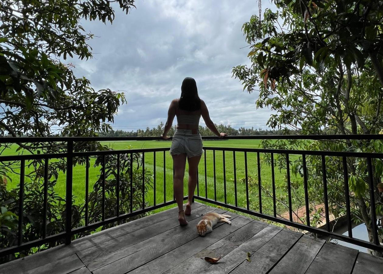 Village Mango Resort Yala Tissamaharama Exteriör bild